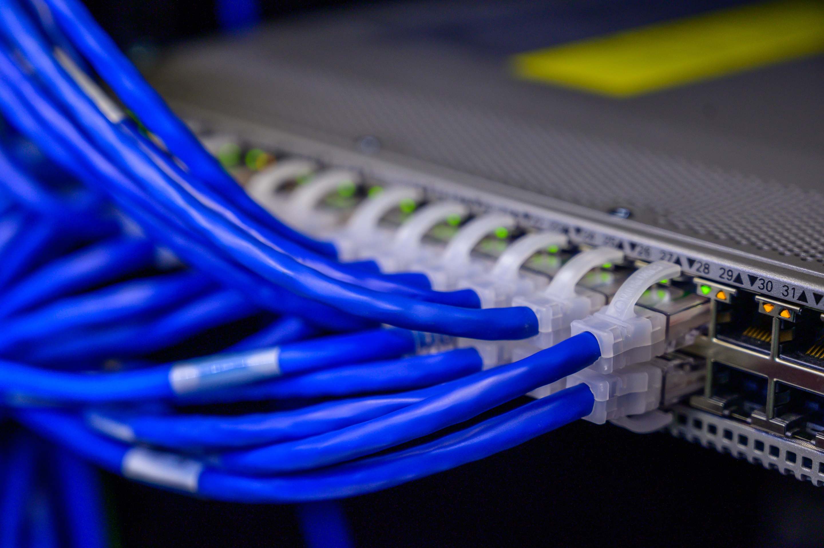 Close view of network server equipment, blue ethernet cables connected to a network switch